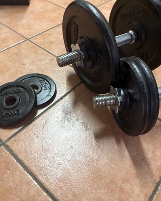 Set palestra – 2 manubri regolabili + dischi + ket