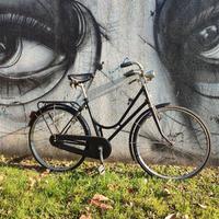 bicicletta freni a bacchetta 