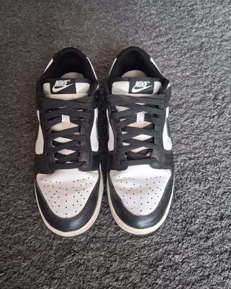 Nike Dunk 42