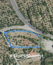 TERRENO EDIFICABILE CATEGORIA C2 CON PROGETTO APPR