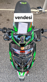 Scooter campione 2024 e 2025 100cc 8.1