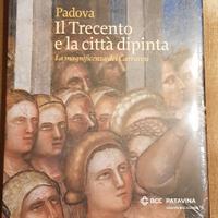 Padova Urbs Picta libro arte