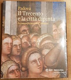 Padova Urbs Picta libro arte