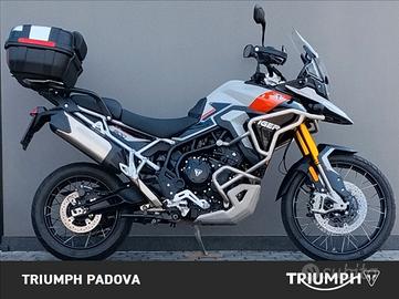 Triumph Tiger 900 Rally Pro 108 cv - 2024