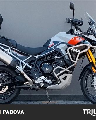Triumph Tiger 900 Rally Pro 108 cv - 2024