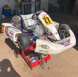 Kart 100 crg