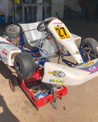Kart 100 crg
