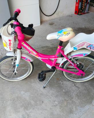 bicicletta