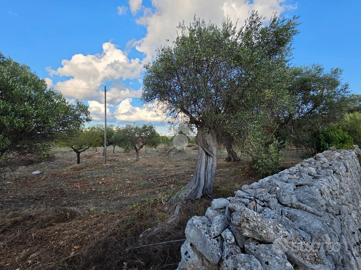 TER. AGRICOLO A CONVERSANO - Vista 4