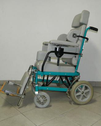 sedia a rotelle