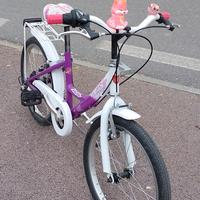 Bicicletta per bambina raggio 20''