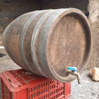 Botte in rovere per vino 100l