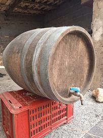 Botte in rovere per vino 100l