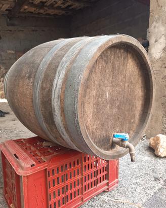 Botte in rovere per vino 100l