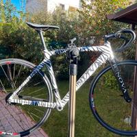 Bicicletta carbonio bicolore