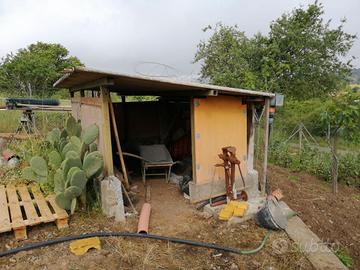 terreno agricolo Nepi cassia bis