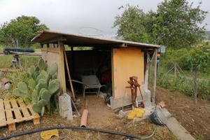 terreno agricolo Nepi cassia bis