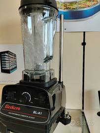 frullatore professionale 