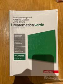 Matematica Verde 1