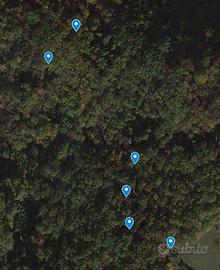 Terreni prato arborato e bosco ceduo