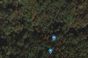 Terreni prato arborato e bosco ceduo