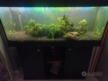 acquario compreso di mobile