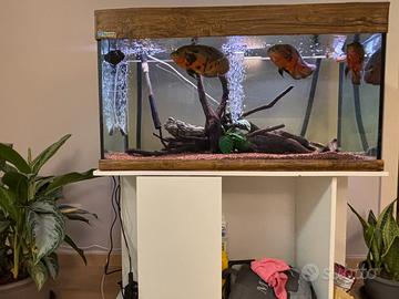 Acquario MPAquarien