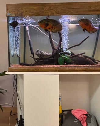 Acquario MPAquarien