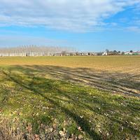 Terreno agricolo a 8 euro/ mq