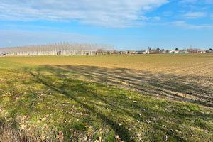 Terreno agricolo a 8 euro/ mq