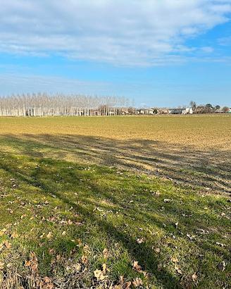 Terreno agricolo a 8 euro/ mq