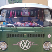 Vw T2