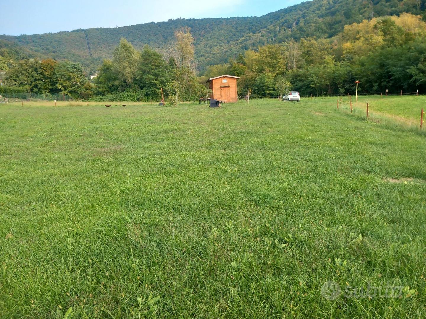 Terreno agricolo con casetta in legno - Vista 3