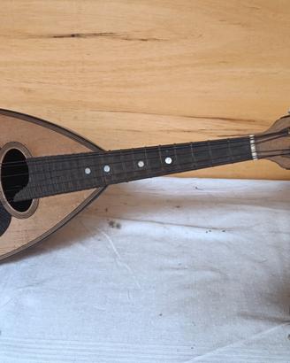 mandolino 