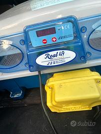 Real 49 automatica borotto