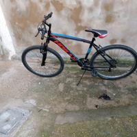 Bici  mountain bike 