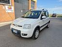 fiat-panda-1-4-climbing-natural-power
