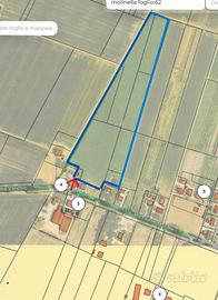 Terreno agricolo seminativo