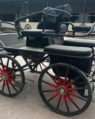 Carrozza modello marathon 