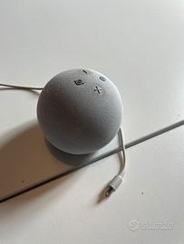 Alexa piccola tonda