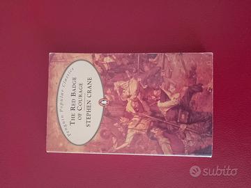 libro di letteratura 