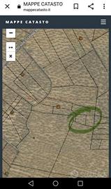 Terreni agricoli a oliveto - bitonto (ba)