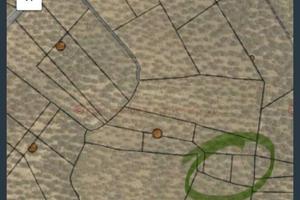 Terreni agricoli a oliveto - bitonto (ba)