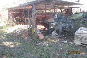 Podere le mandriacce