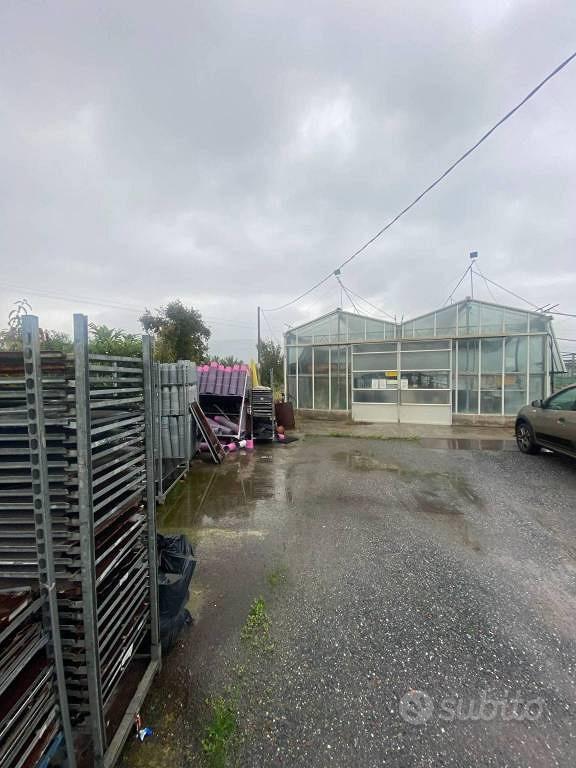 Terreno di 3910 m² a Albenga - Vista 2