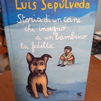 Storia di un cane che insegnò a un bambino ...