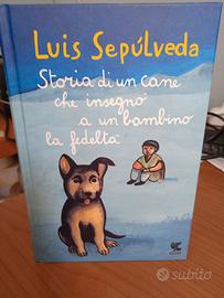Storia di un cane che insegnò a un bambino ...