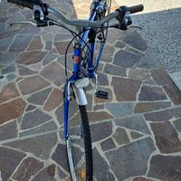 City bike Bottecchia
