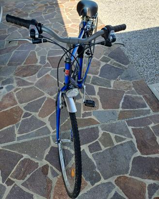 City bike Bottecchia