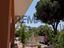 Immagine 15